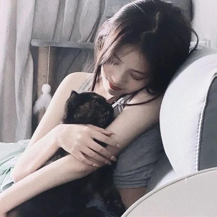 密码46 海报