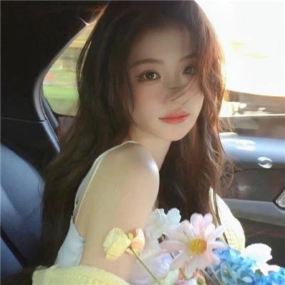 寻找特洛伊 海报
